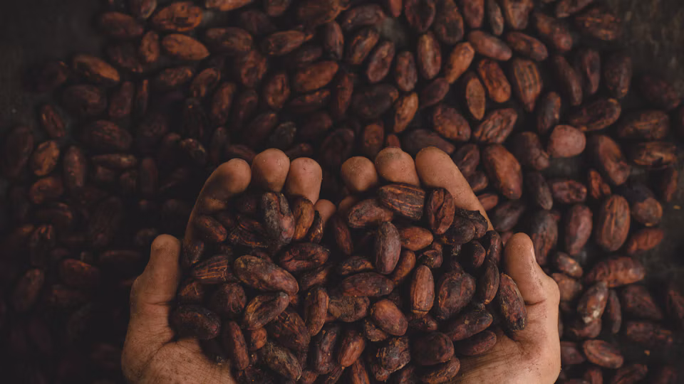 Commodity trading